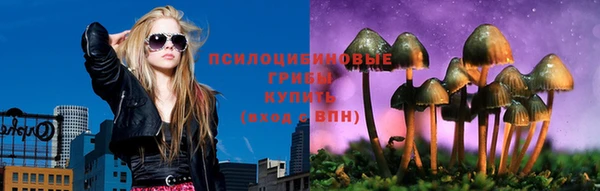 дмт Алексин