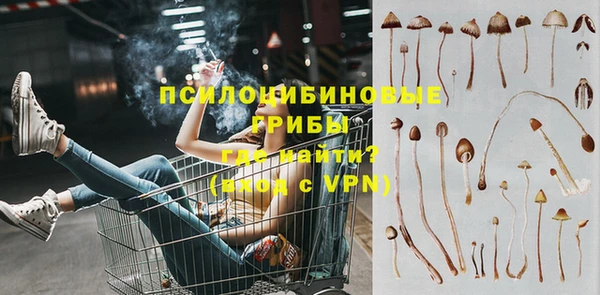 сатива Алзамай