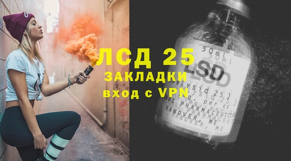 сатива Алзамай