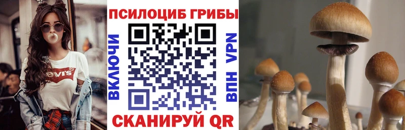 Псилоцибиновые грибы Magic Shrooms  Нефтекумск 